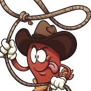 Team Page: Bowling Pin Wranglers